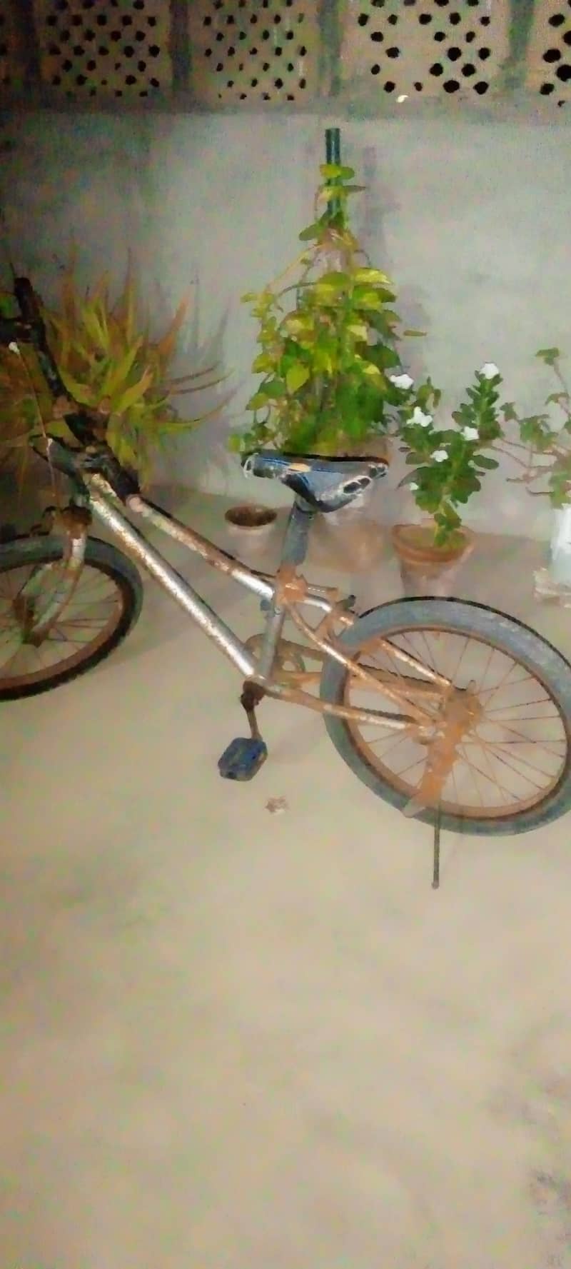 Bicycle for sale - Other Bicycles - 1120542905