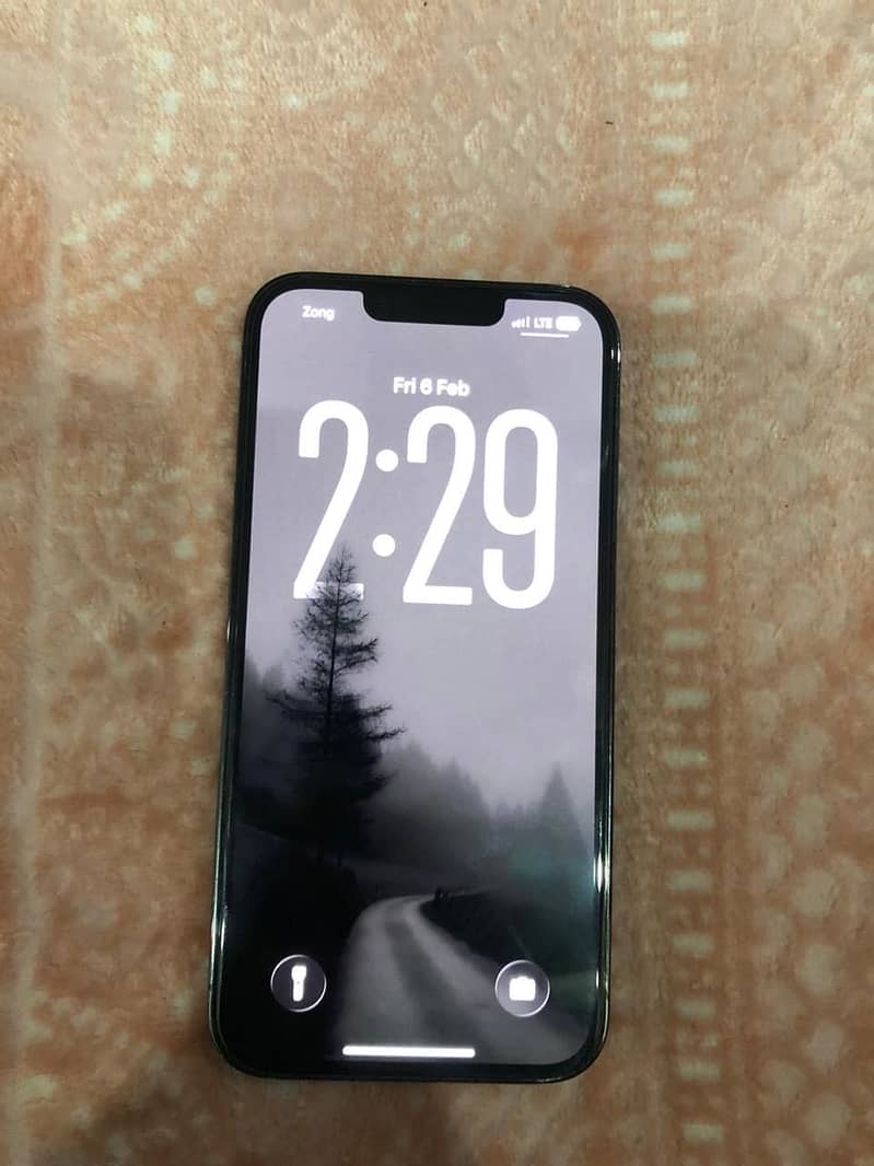 Apple iPhone 13 Pro 1