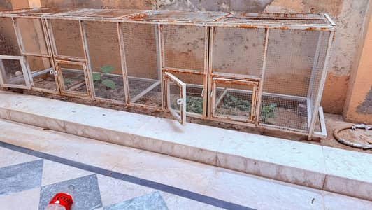 pigeon cage pets Cage for Sale 3 set
