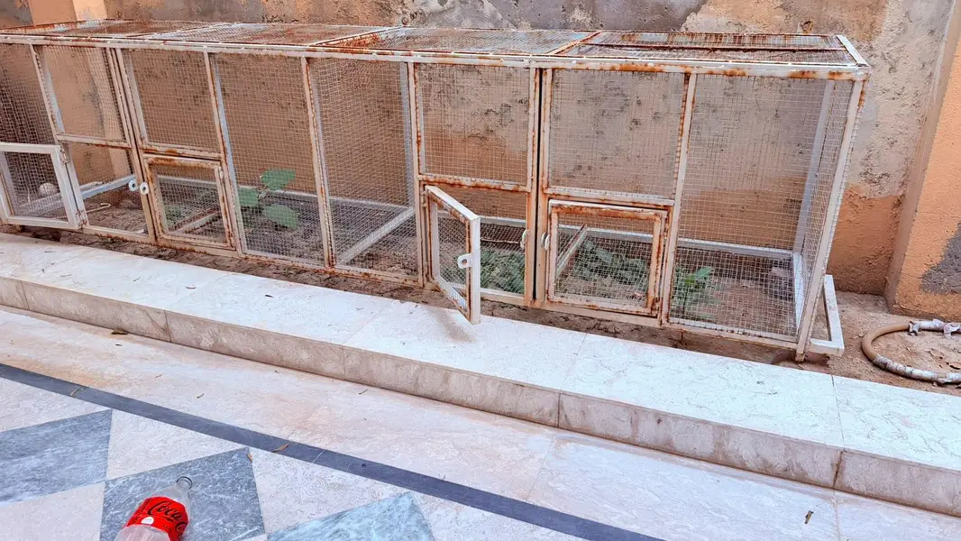 pigeon cage pets Cage for Sale 3 set
