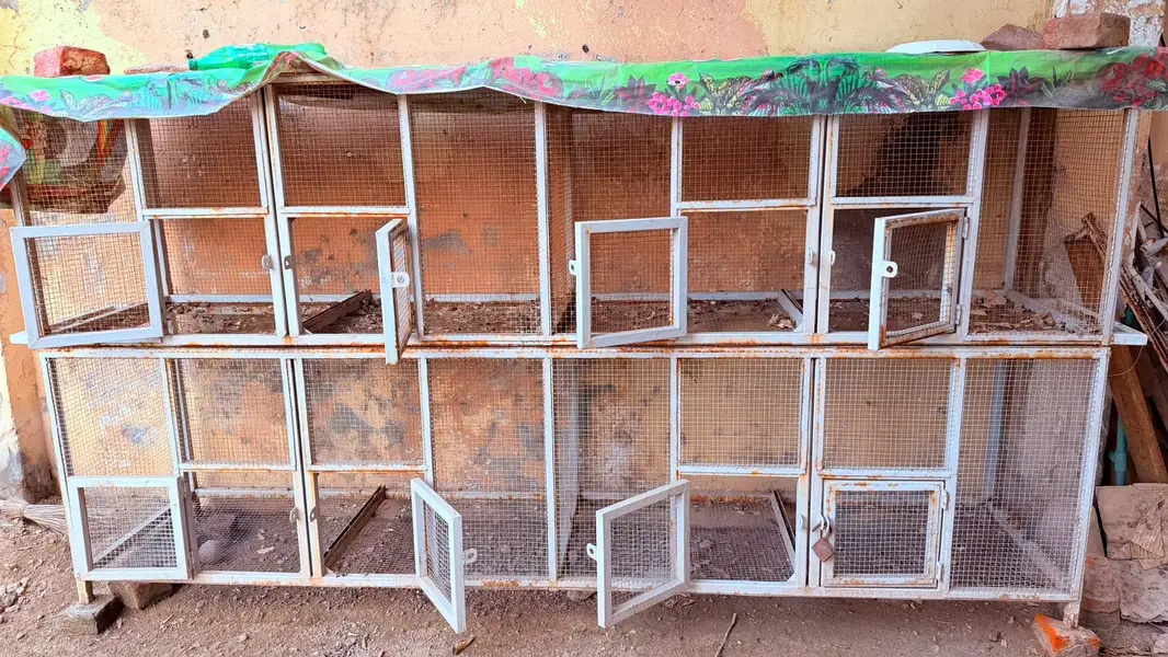 pigeon cage pets Cage for Sale 3 set — photo 2