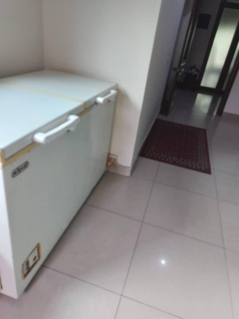 waves freezer 2000 model 1