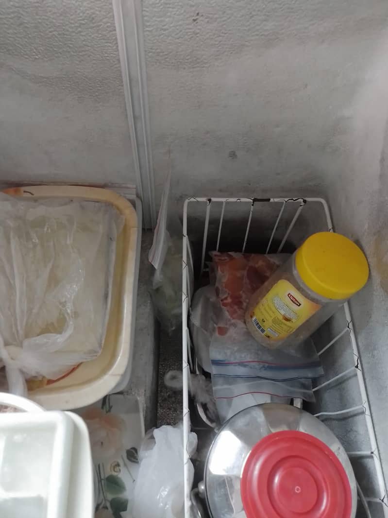 waves freezer 2000 model 2