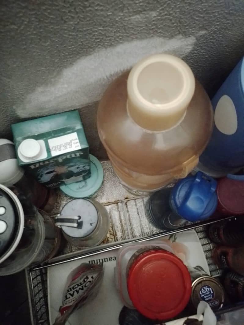 waves freezer 2000 model 3