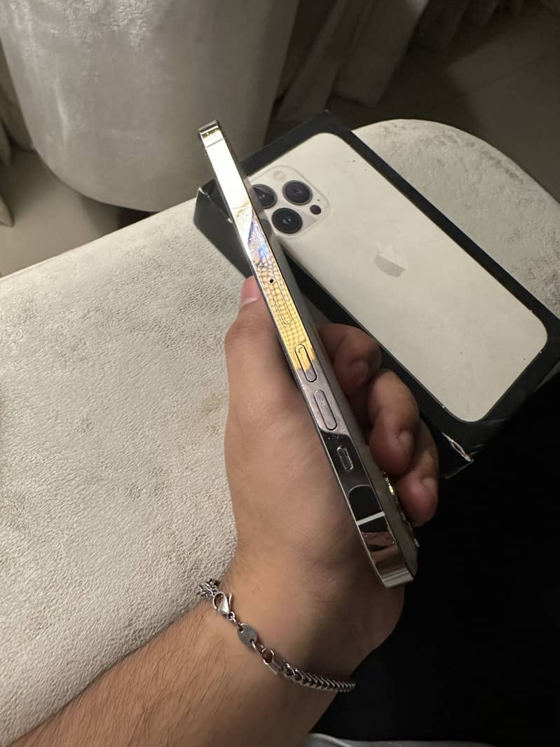 Apple iPhone 13 Pro Max 1