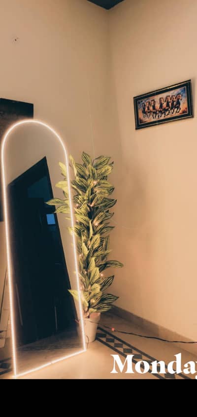 light mirror 6ft with lights