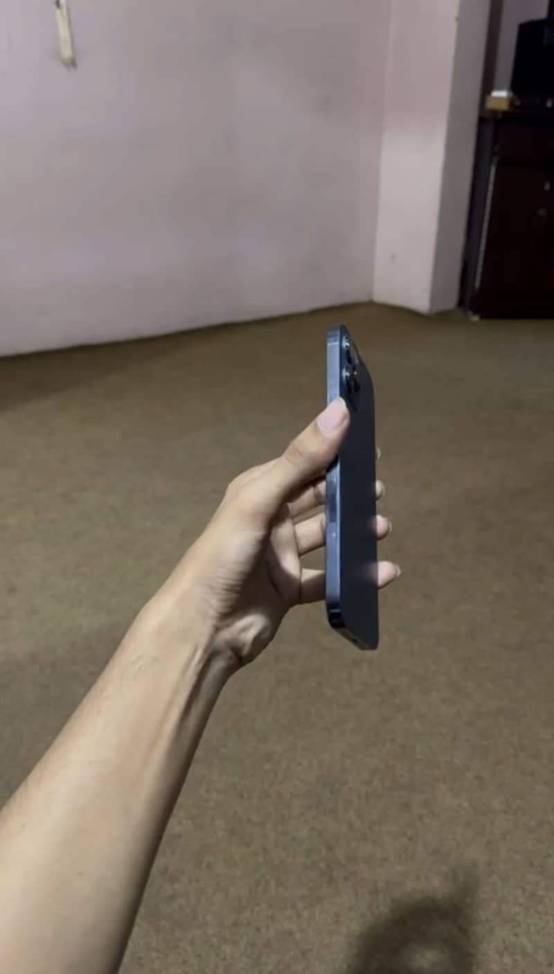 Apple iPhone 12 Pro Max 0