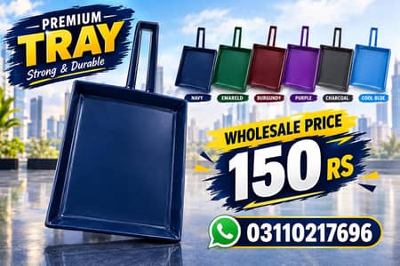 Metal Handy Tray With Handle Price 150/RS