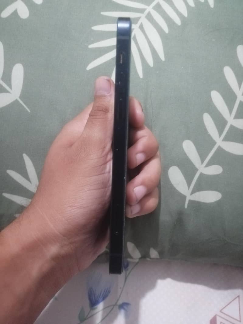 Apple iPhone 12 1