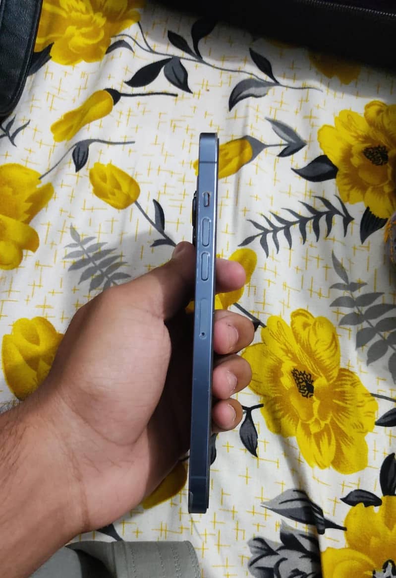 IPhone 13 pro max 4