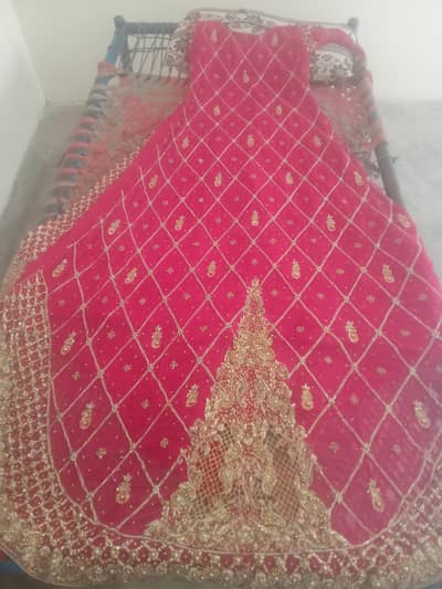 mexci, weight 9kg