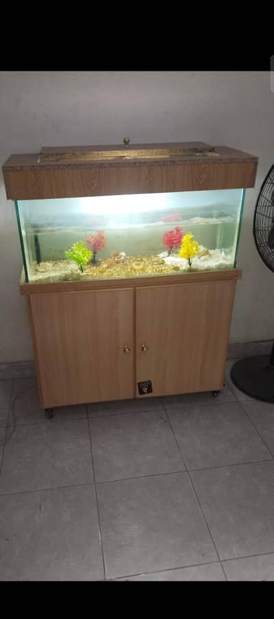 aquarium