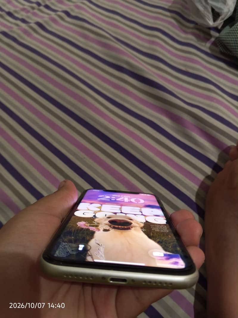 Apple iPhone 11 3