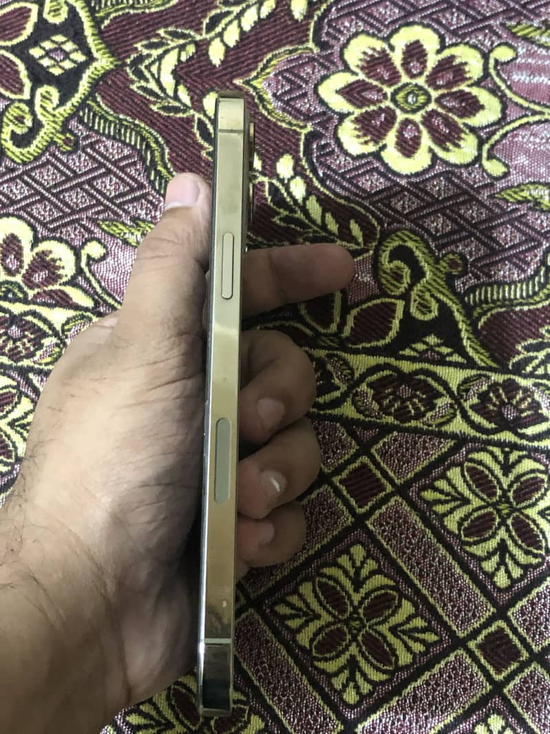 Apple iPhone 12 Pro Max 1