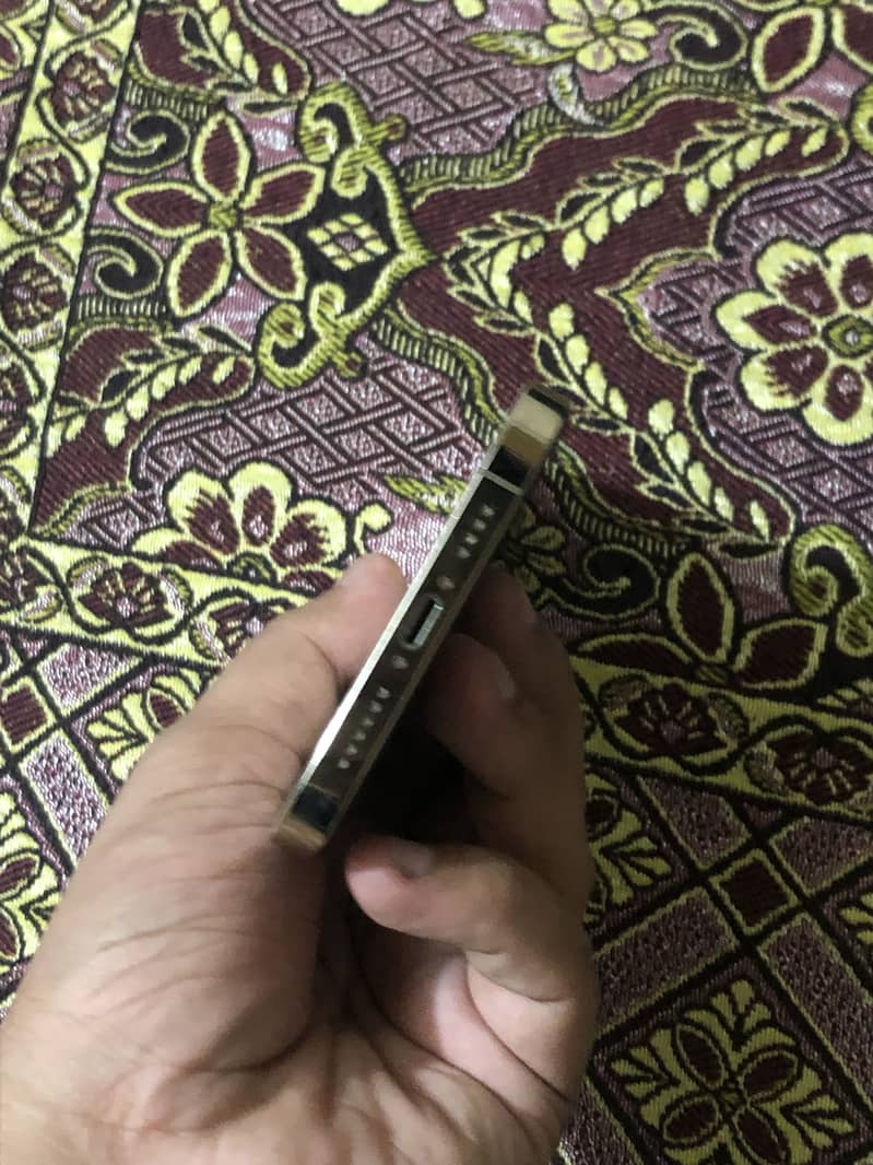 Apple iPhone 12 Pro Max 2