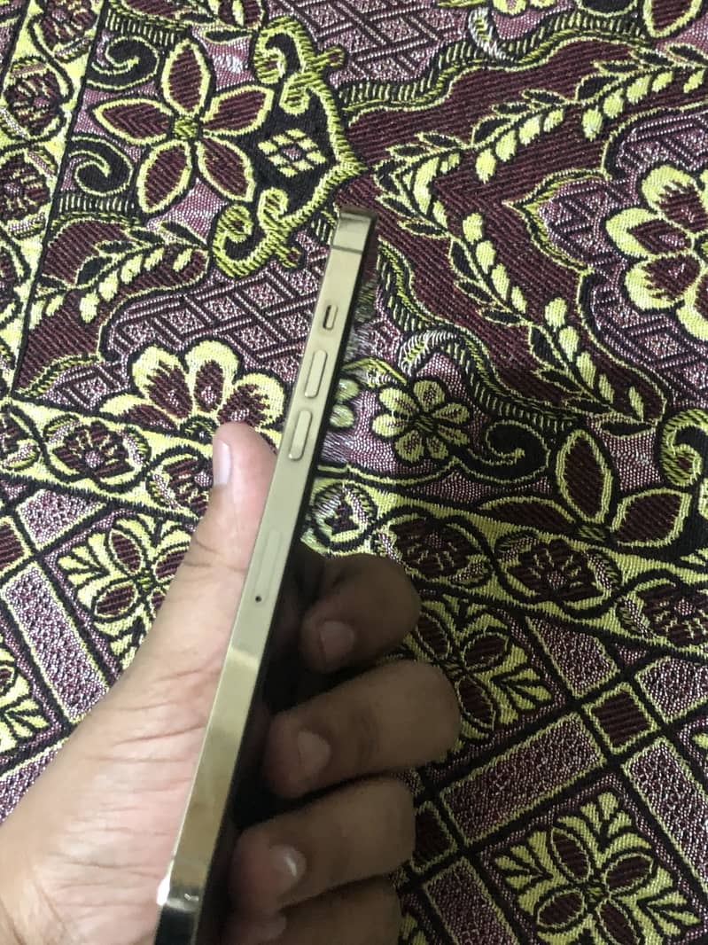 Apple iPhone 12 Pro Max 5