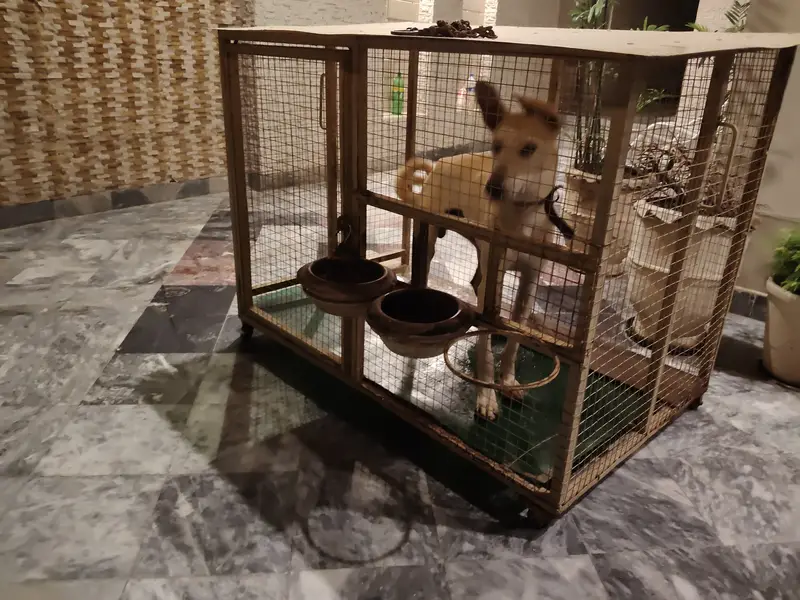 Big dog cage — photo 5