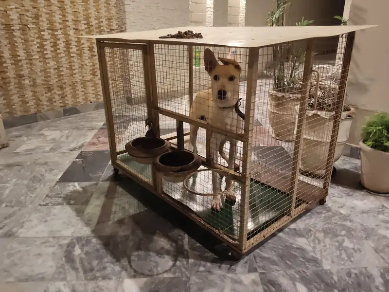 Big dog cage — photo 6
