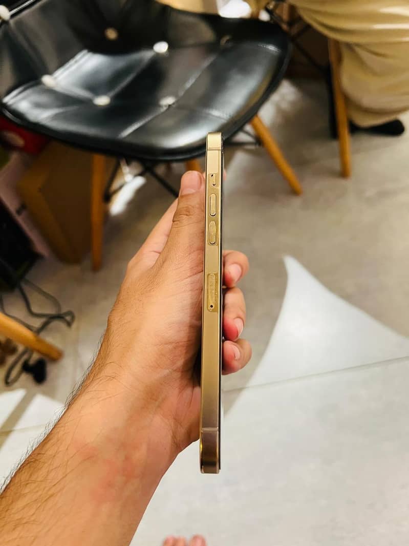 Apple iPhone 12 Pro Max 2