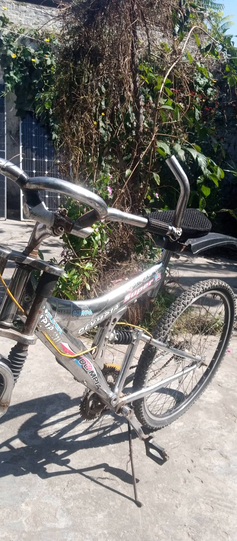 Cycle 6