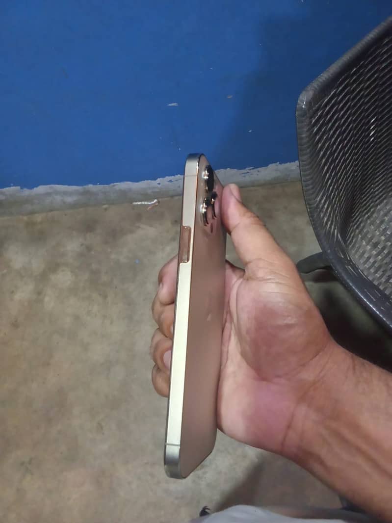 Apple iPhone 13 pro max 1