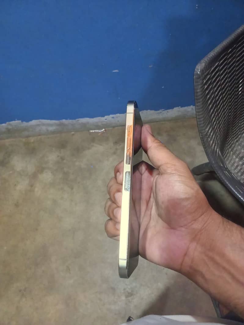 Apple iPhone 13 pro max 7
