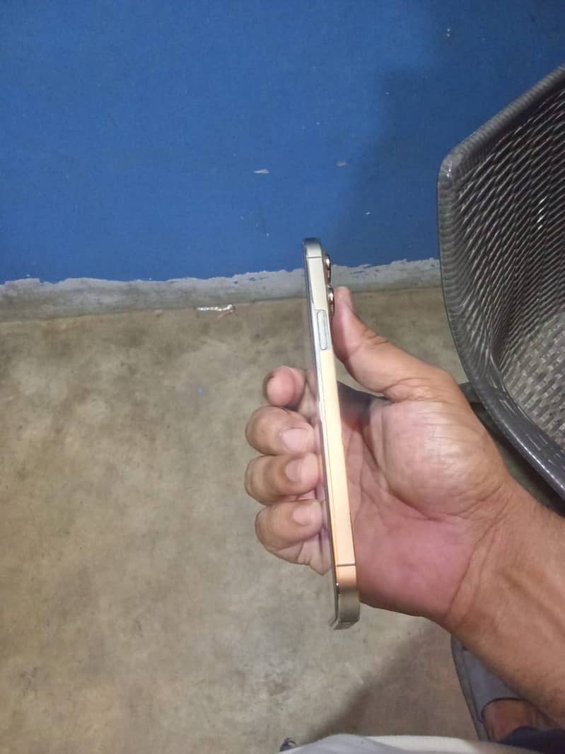 Apple iPhone 13 pro max 9