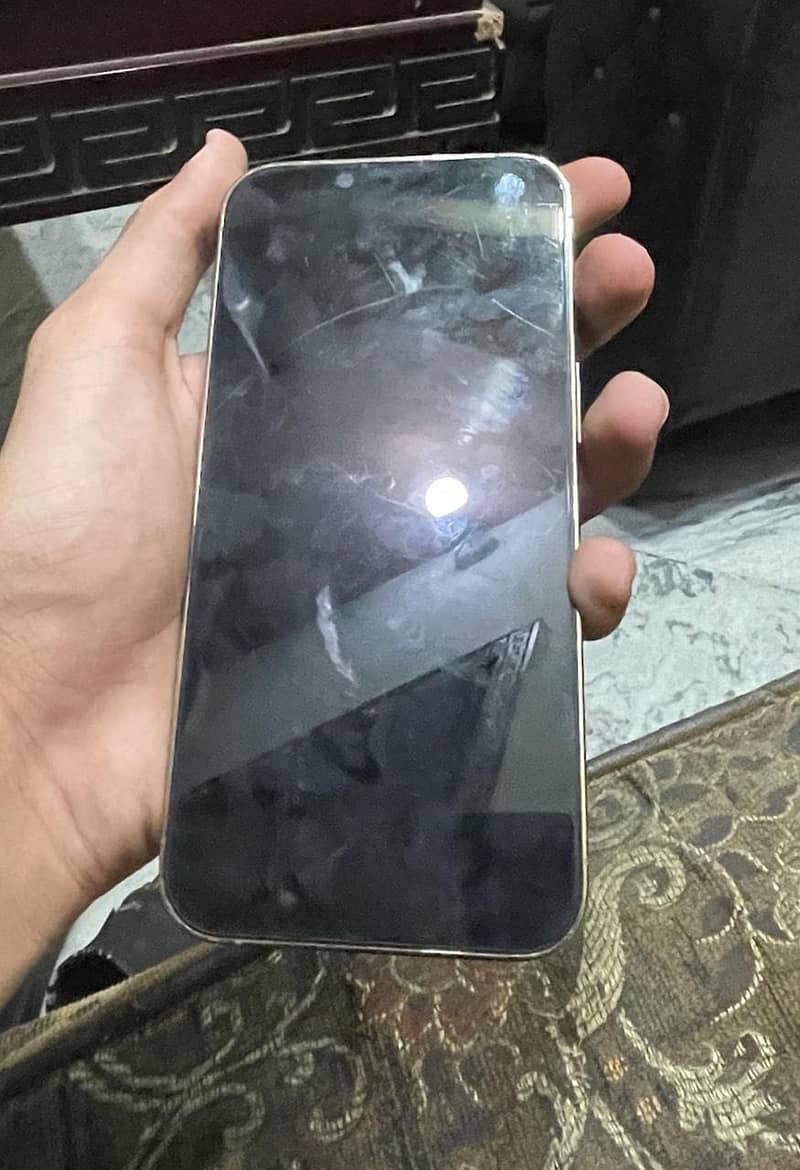 Apple iPhone 13 Pro 3