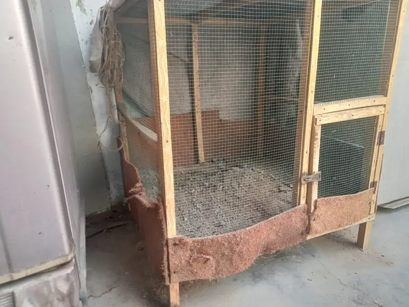 1 Wood cage for sell — photo 2