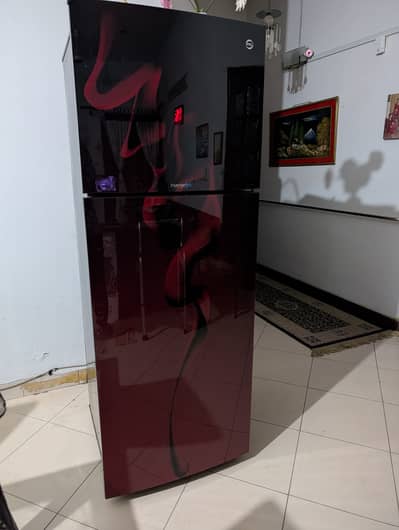 PEL Ultra InverterOn Glass Door Refrigerator 6450 - 334LTRS