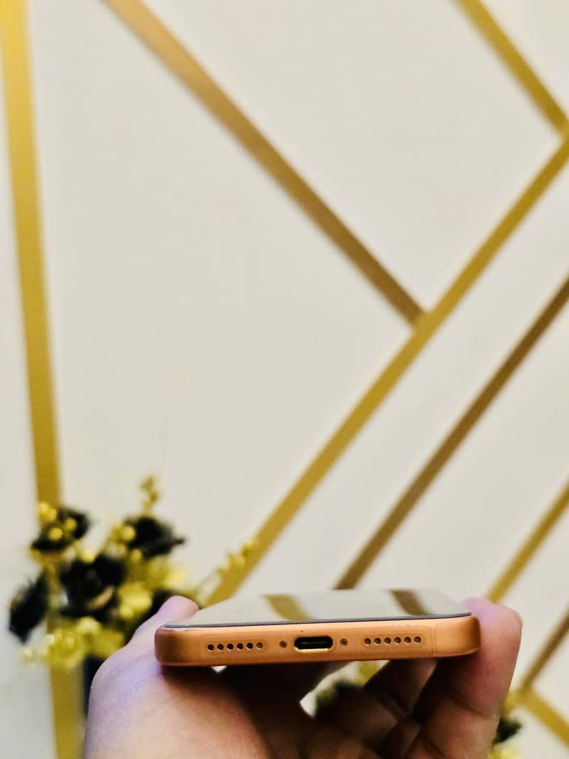 Apple iPhone 17 Pro Max 2