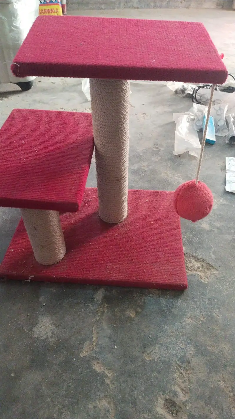 CAT ACCESSORIES — photo 5