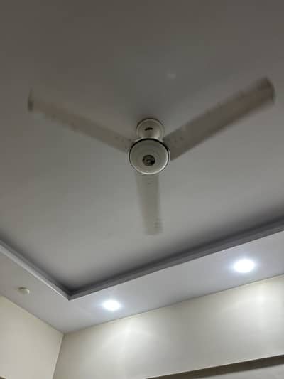 Pak fan