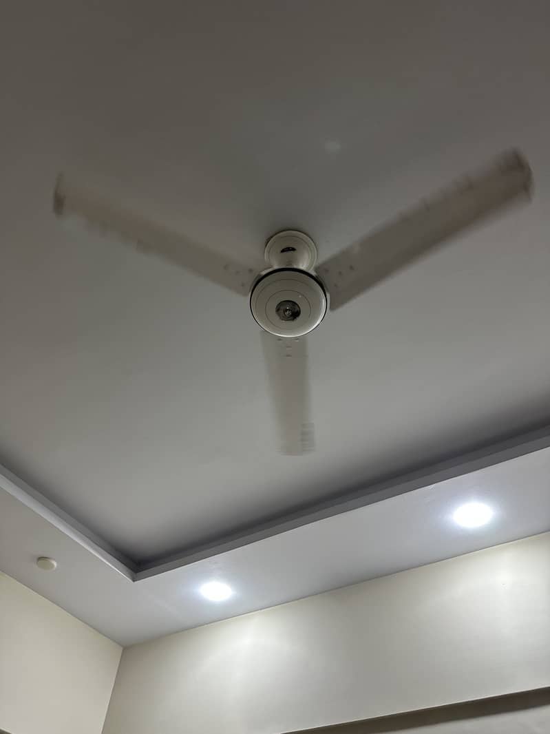 Pak fan 0