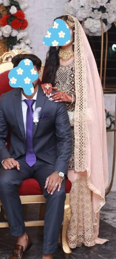 walima sharara set