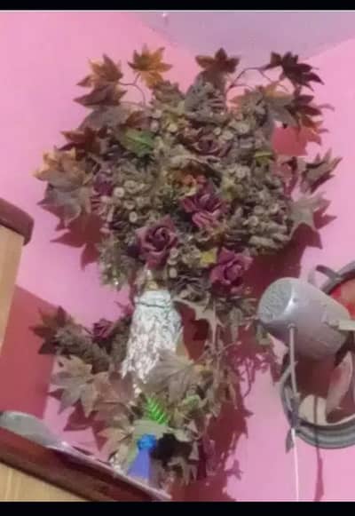 flower guldan
