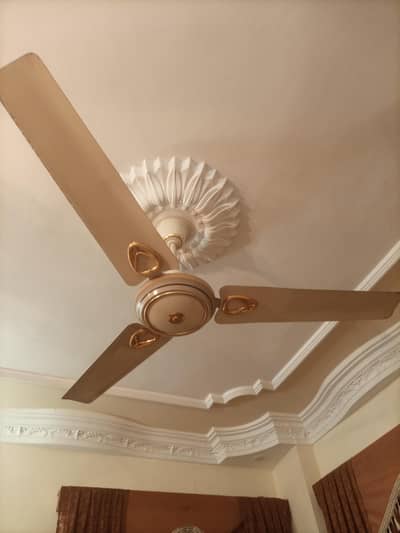 Royal ceiling fans