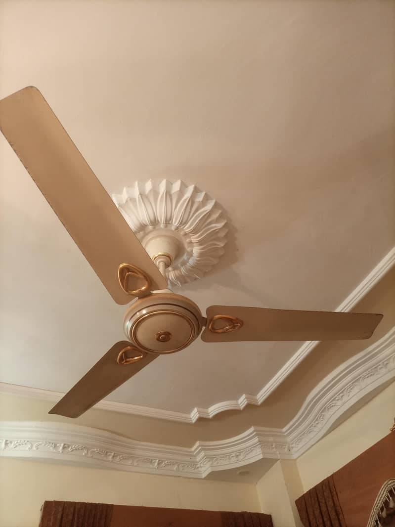 Royal ceiling fans 1