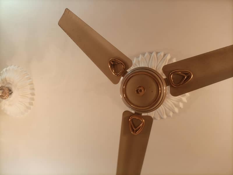 Royal ceiling fans 3