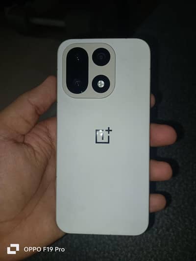 One Plus Other Model