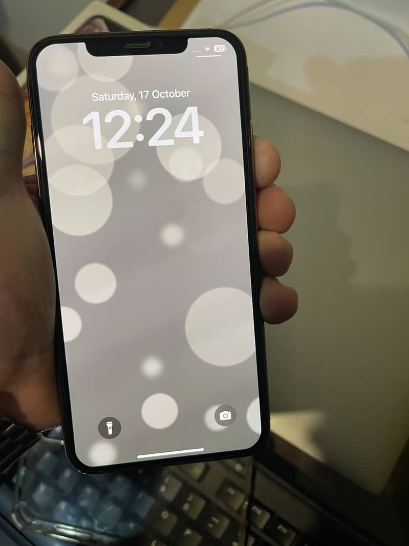 Apple iPhone XS Max 4