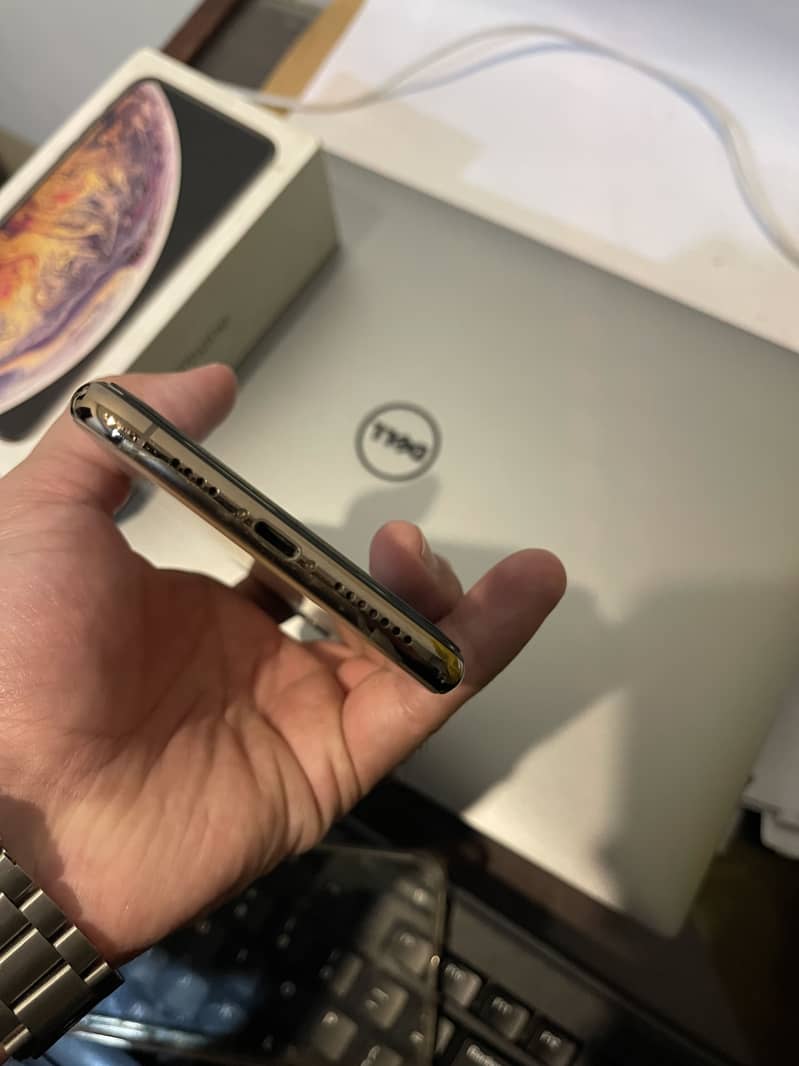 Apple iPhone XS Max 10
