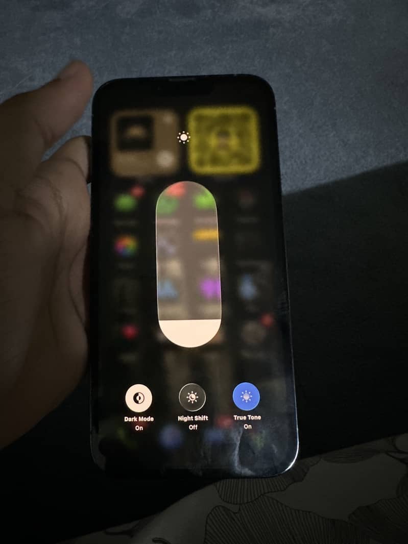 Apple iPhone 13 Pro Max 1