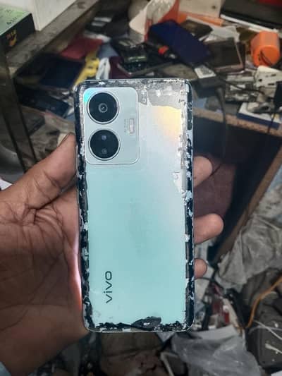 vivo y 55