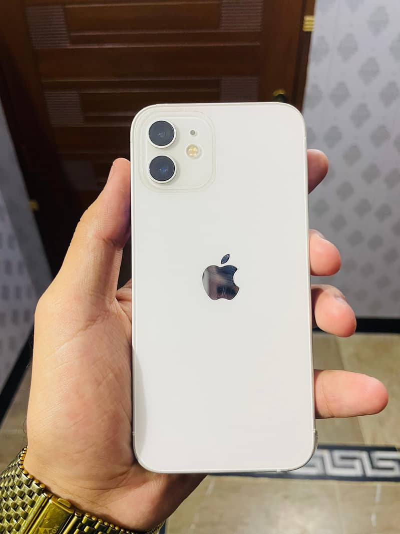 Apple iPhone 12 1
