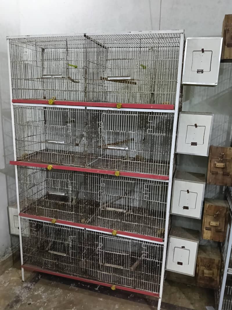 cage's 1