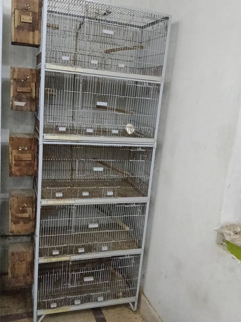 cage's 3