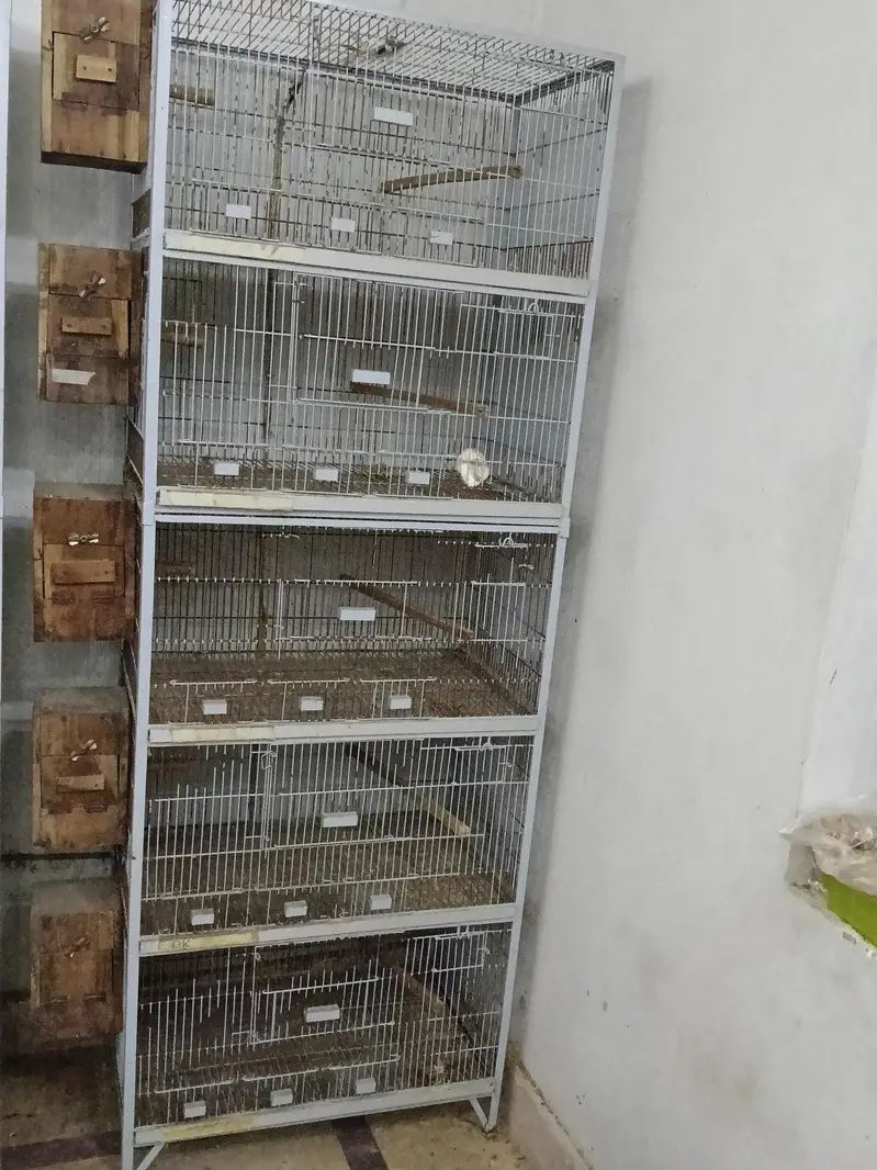 cage's — photo 4