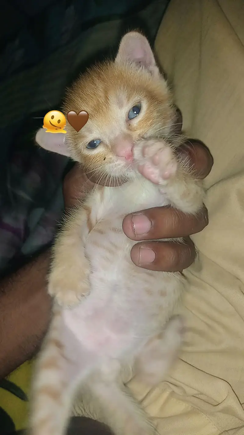 cutest — photo 2