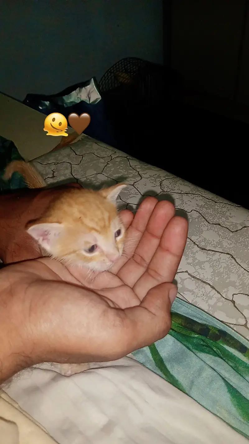 cutest — photo 3